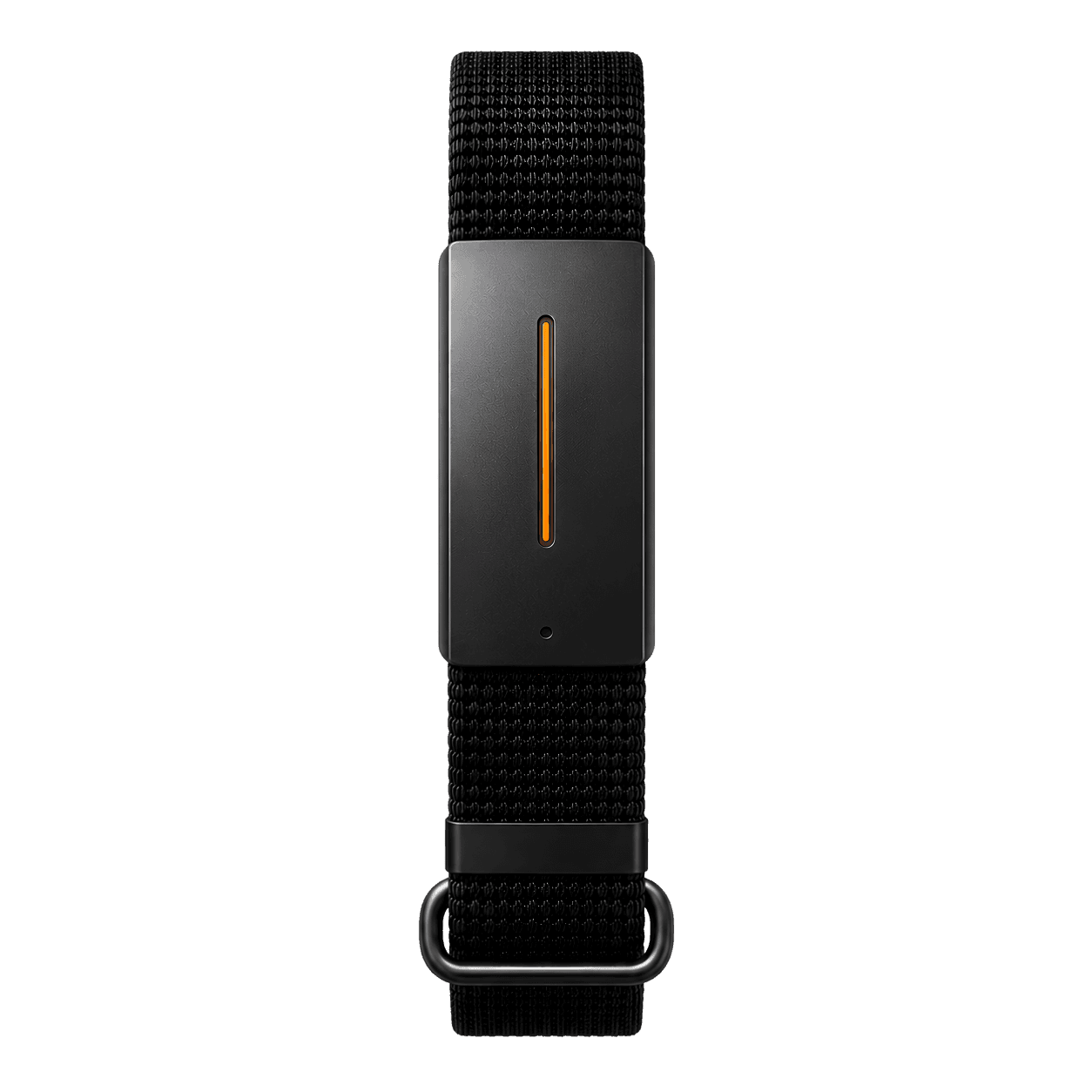 BioSync Device, front view